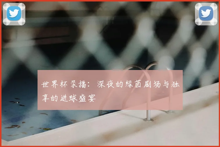 世界杯录播:深夜的绿茵剧场与独享的进球盛宴