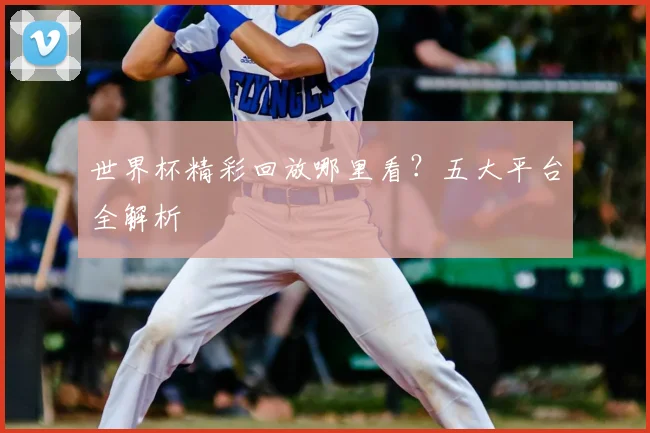 世界杯精彩回放哪里看?五大平台全解析