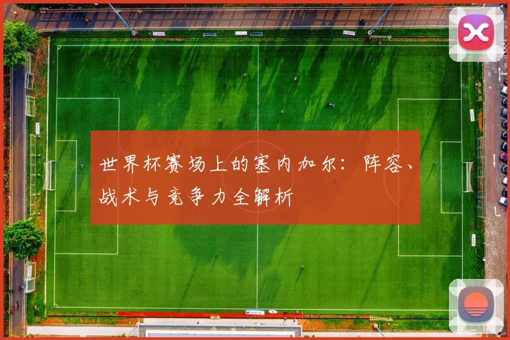 世界杯赛场上的塞内加尔:阵容、战术与竞争力全解析