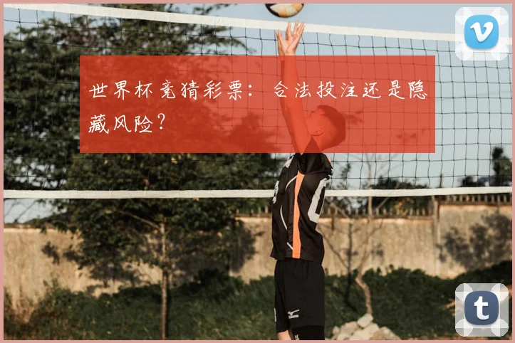 世界杯竞猜彩票:合法投注还是隐藏风险?