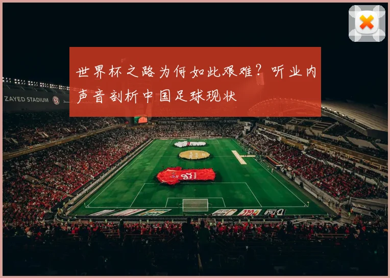 世界杯之路为何如此艰难?听业内声音剖析中国足球现状