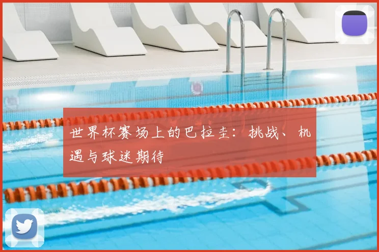 世界杯赛场上的巴拉圭:挑战、机遇与球迷期待