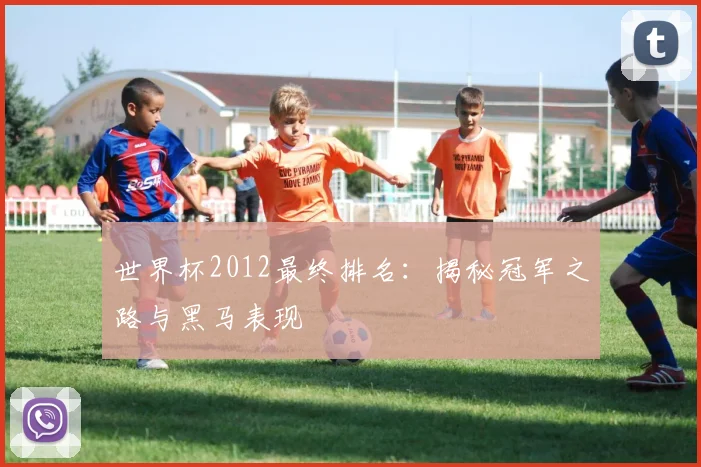 世界杯2012最终排名:揭秘冠军之路与黑马表现