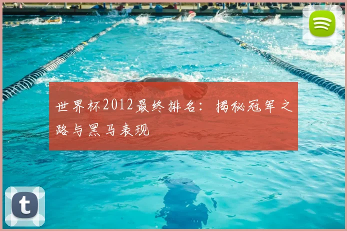 世界杯2012最终排名:揭秘冠军之路与黑马表现
